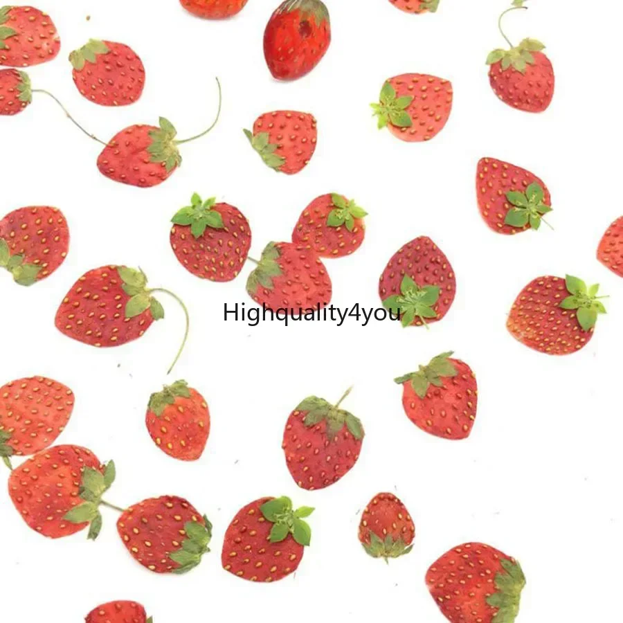 Dried Flower Bookmark - 10pcs Dried Pressed Mini Fruit Strawberry