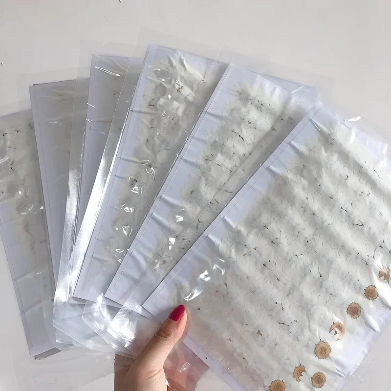 60X Pressed Dried Natural Whit - Dried Flower Bookmark review and price