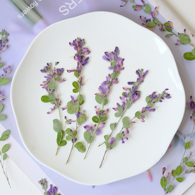 6pcs,nature Lespedeza Formosa  - Dried Flower Bookmark review and price