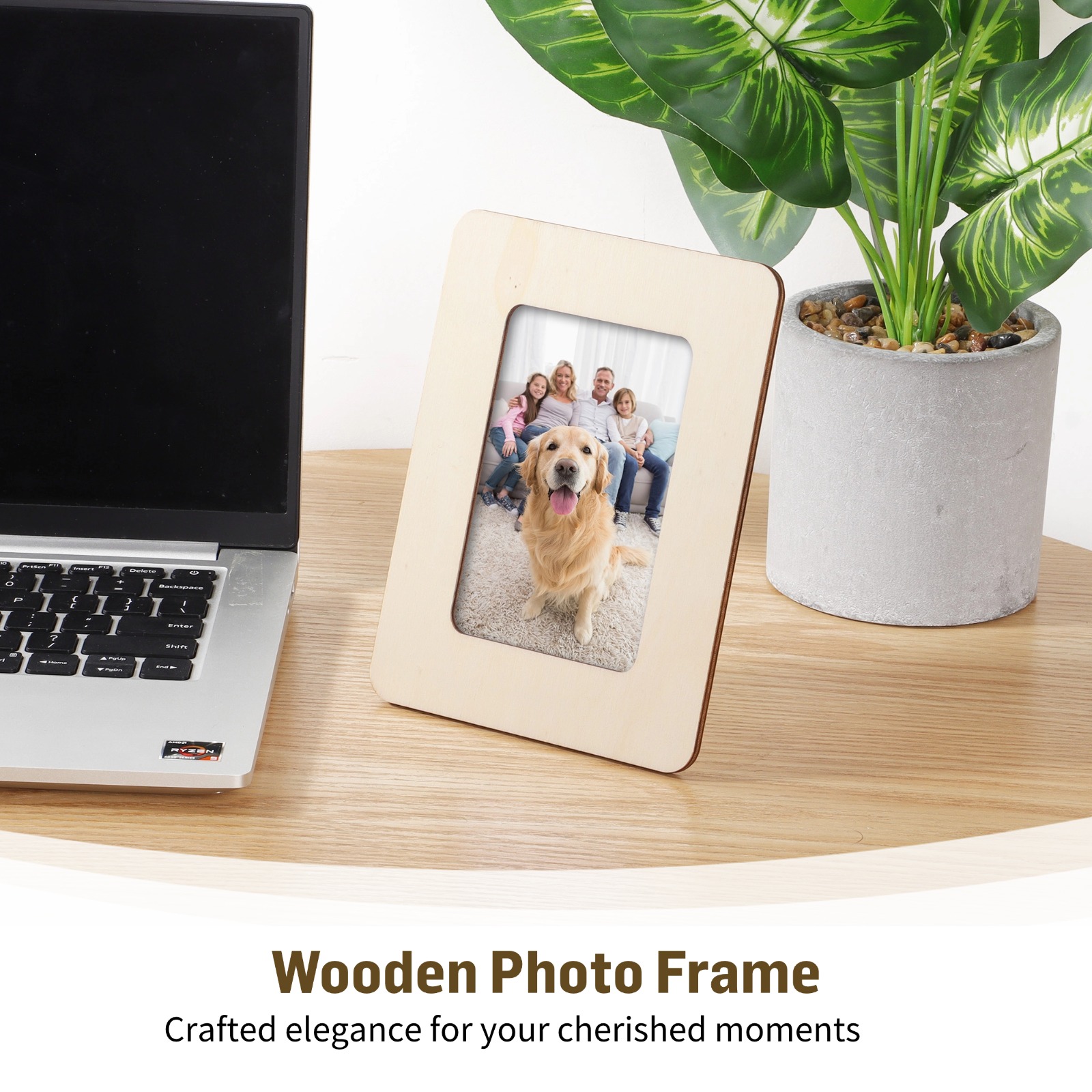 12Pcs/Set Unfinished Wooden Ph - Engraved Wood Frame review and price