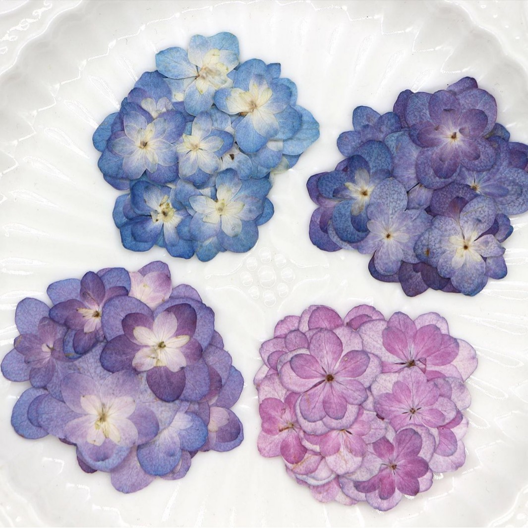 60Pcs Mini Double-Flowered Hyd - Dried Flower Bookmark review and price