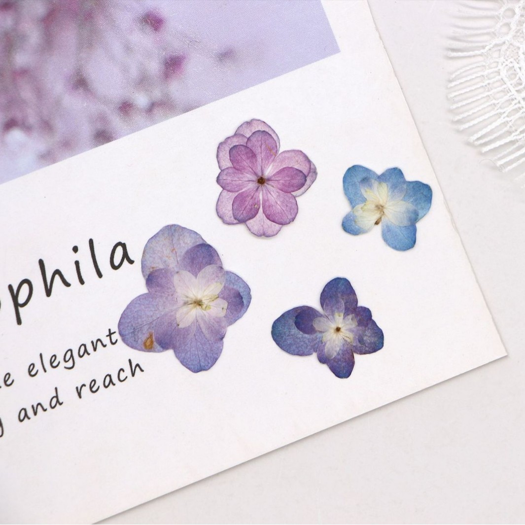 60Pcs Mini Double-Flowered Hyd - Dried Flower Bookmark review and price