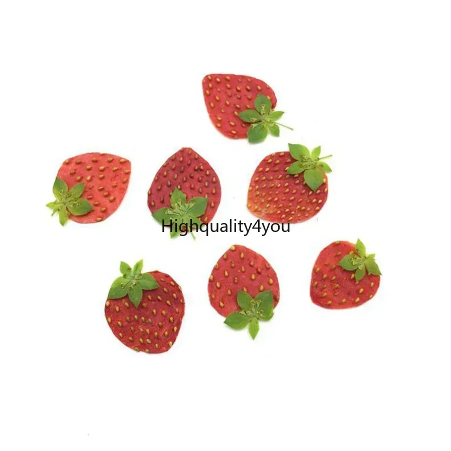 10pcs Dried Pressed Mini Fruit - Dried Flower Bookmark review and price