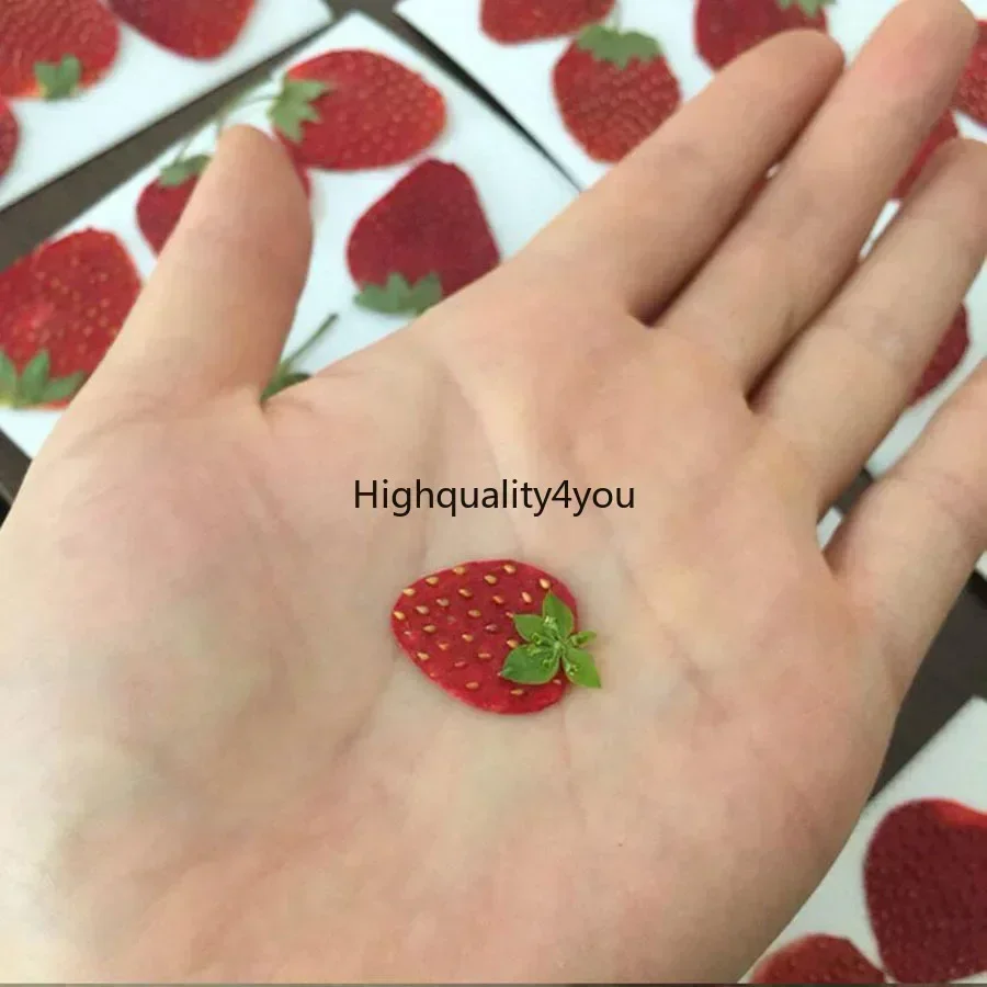 10pcs Dried Pressed Mini Fruit - Dried Flower Bookmark review and price