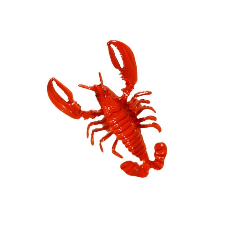 39BB Eye Catching Red Lobster  - Coordinates Bracelet review and price